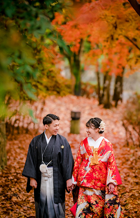 色打掛 赤黒暈し四季草花に鶴のブログ画像